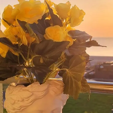 Апартаменты Nuba Sun Мамая